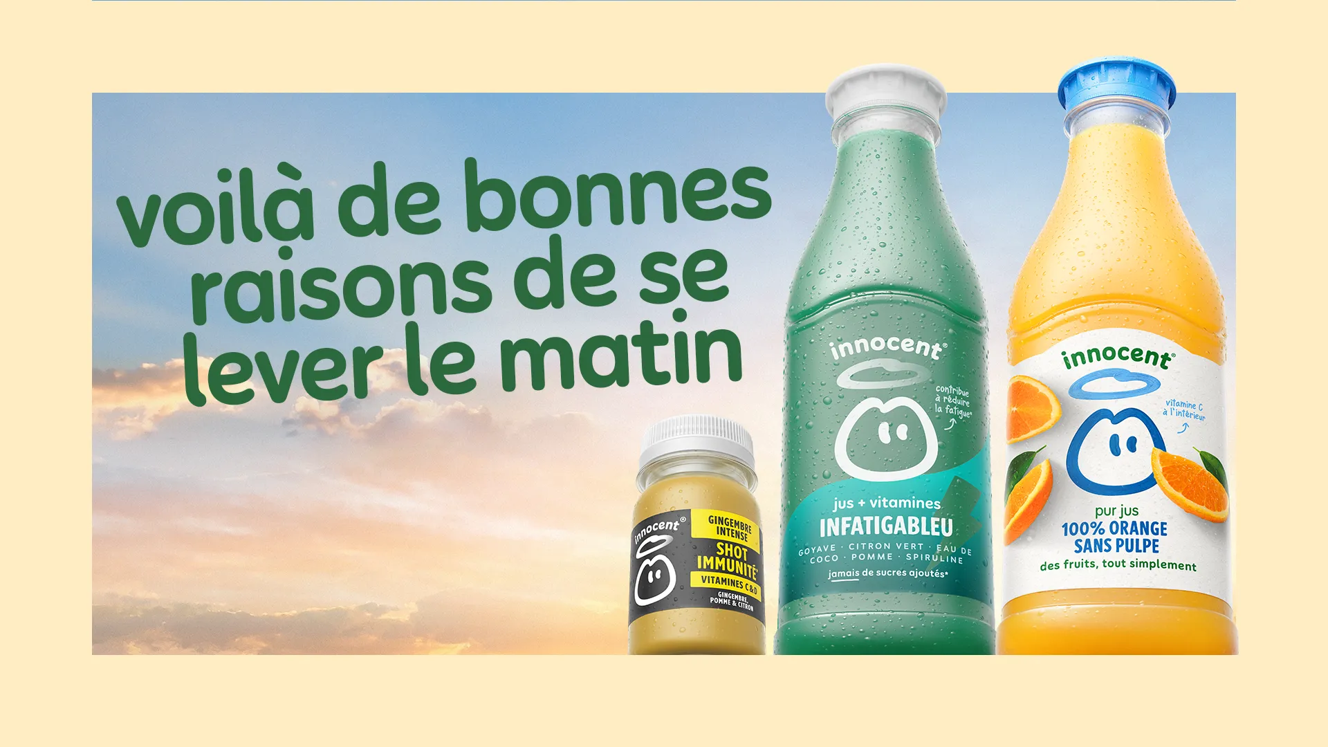 les bonnes raisons