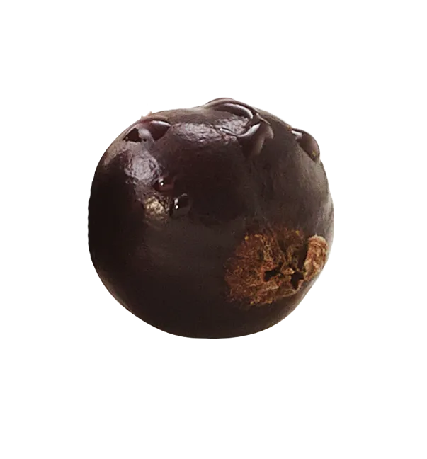 blackcurrents