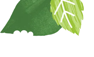 text