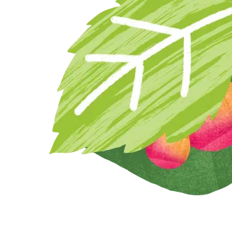 textleaf