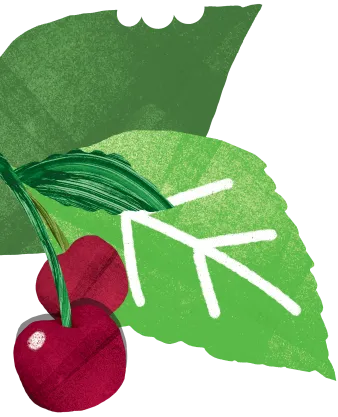 cherries