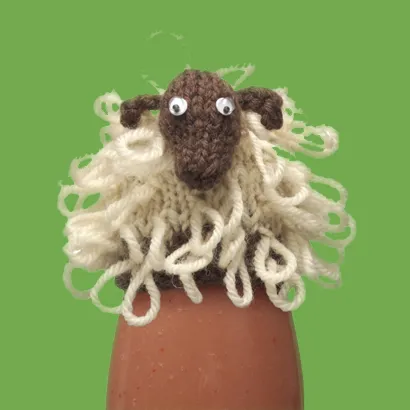 le bonnet mouton