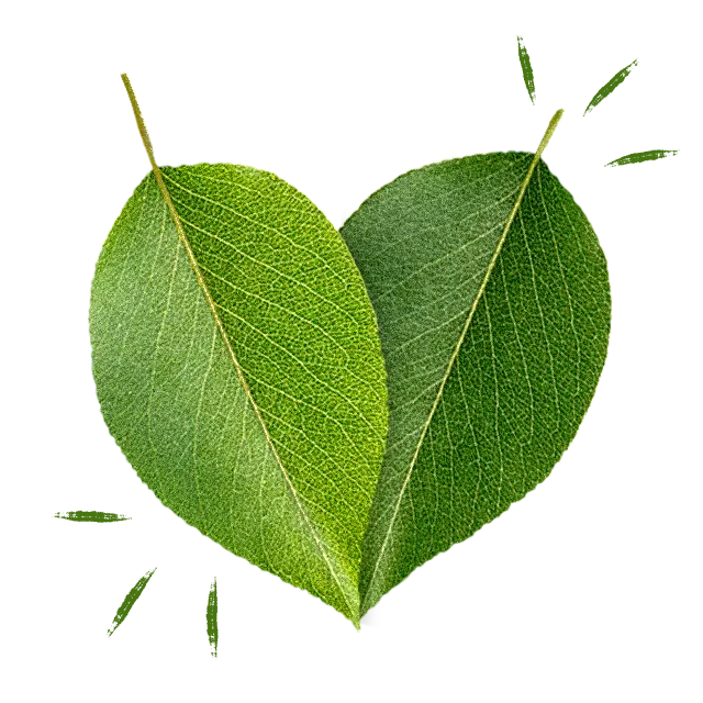 deux feuilles qui se chevauchent